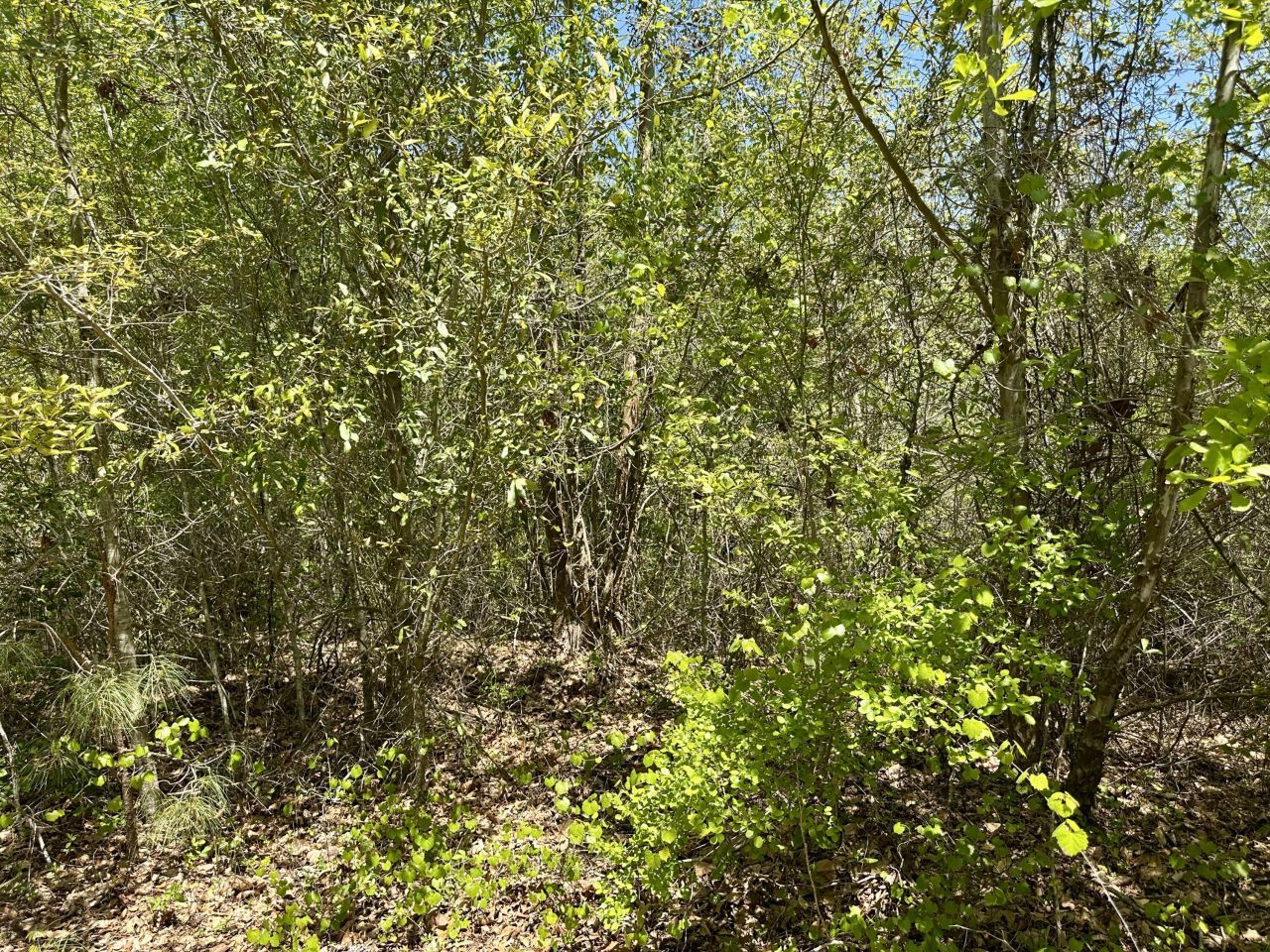 3021 Salley Road Photo 62