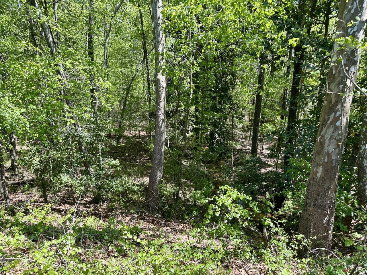 3021 Salley Road Photo 63