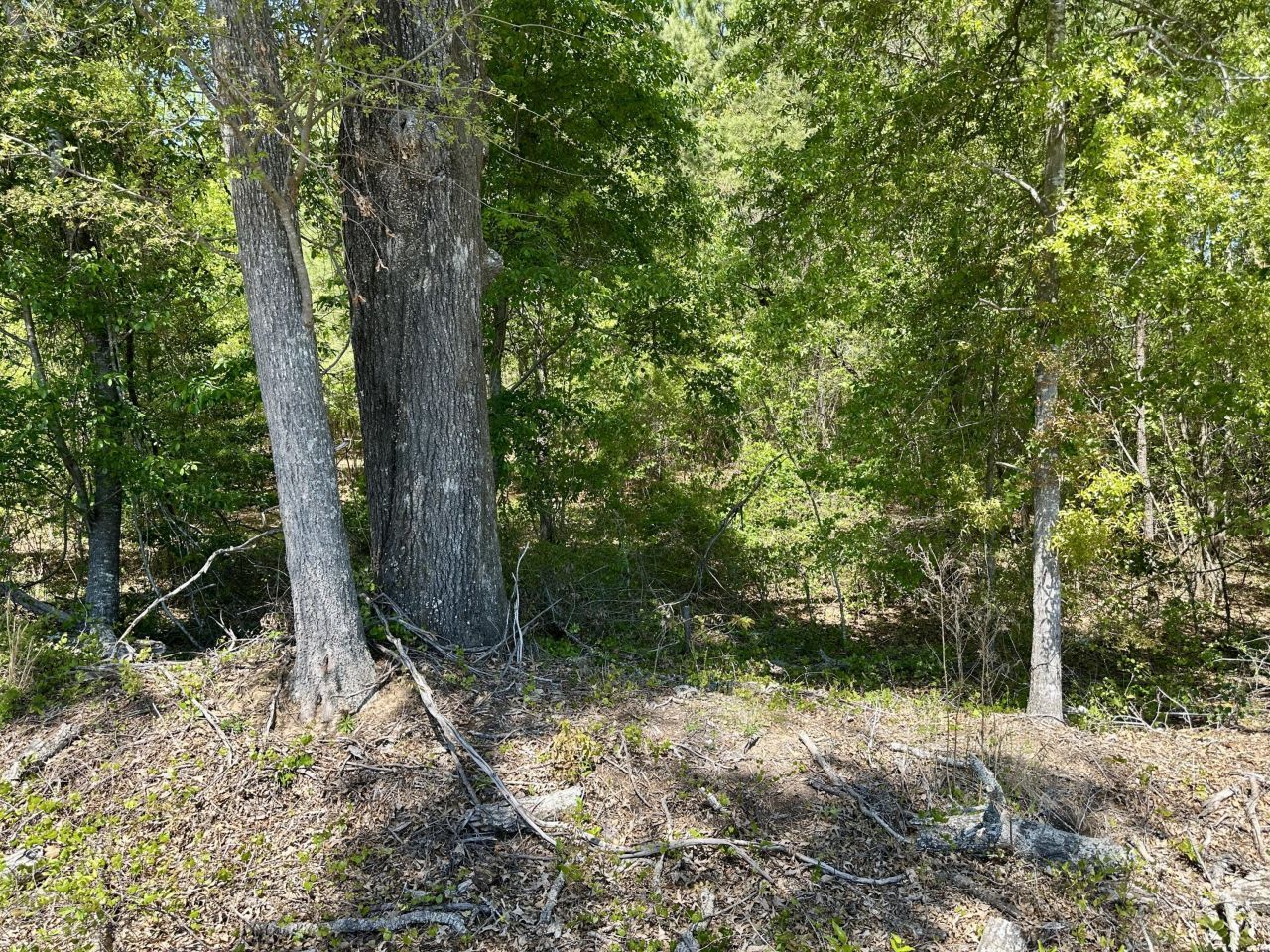 3021 Salley Road Photo 64