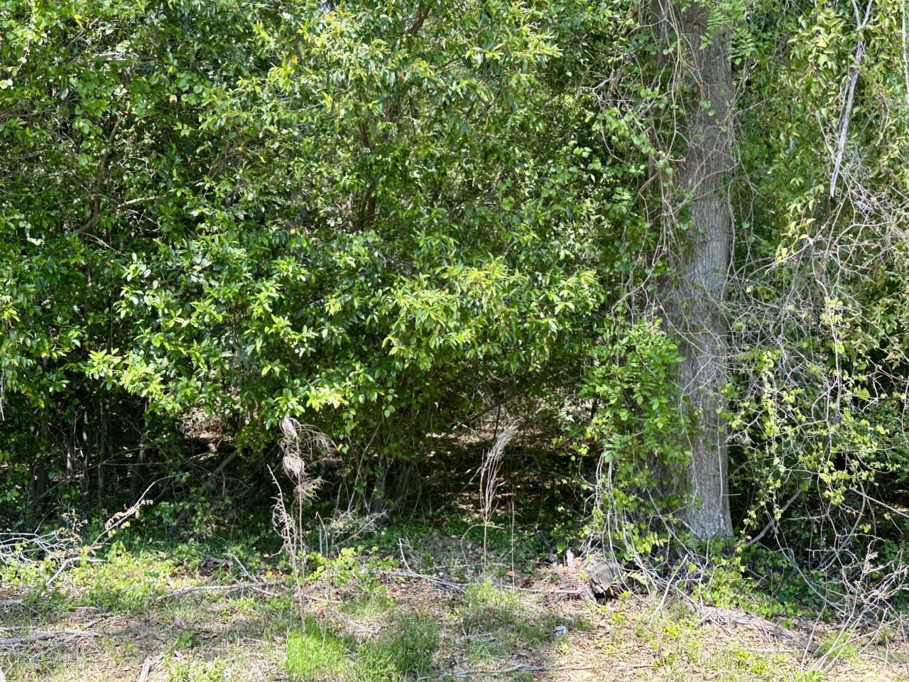 3021 Salley Road Photo 65