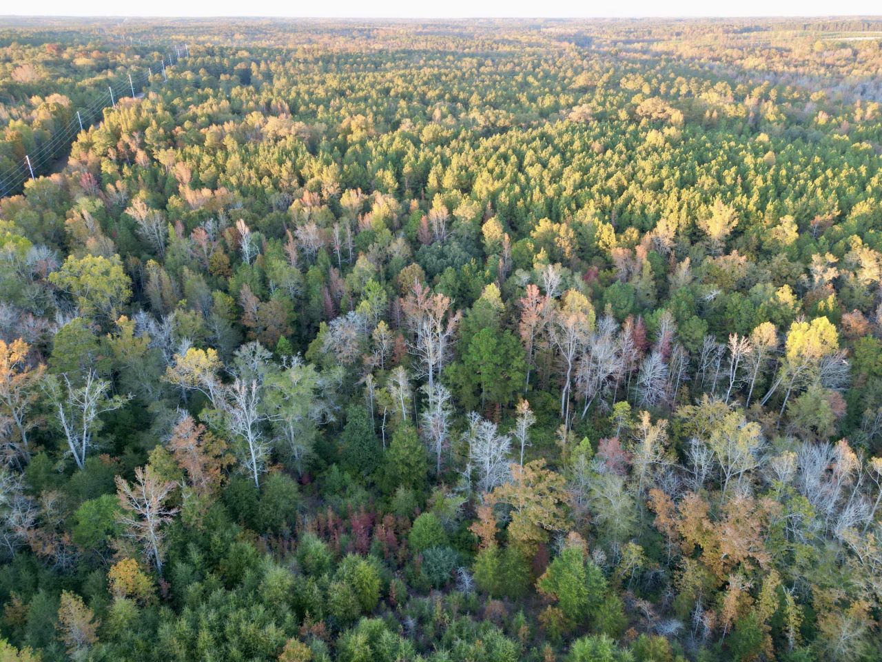 3021 Salley Road Photo 67