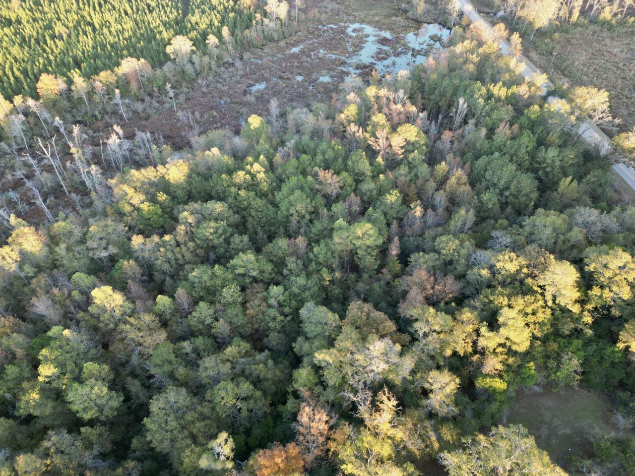 3021 Salley Road Photo 71