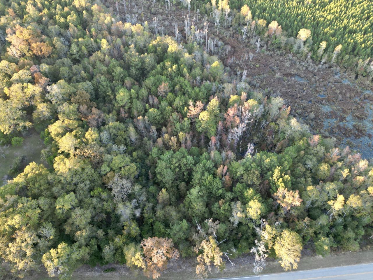 3021 Salley Road Photo 72