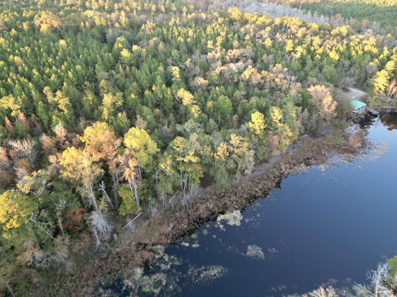 3021 Salley Road Photo 77