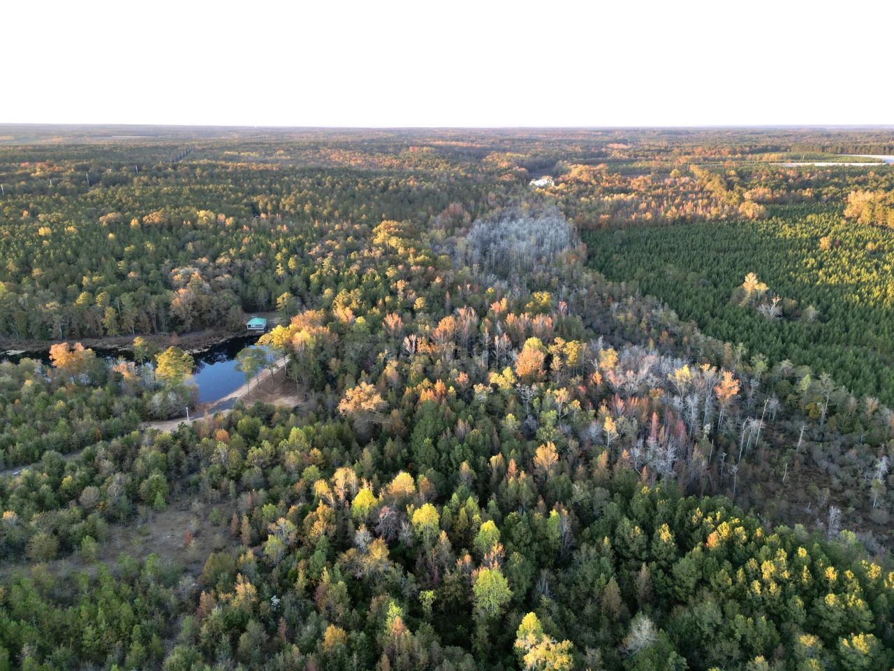 3021 Salley Road Photo 79