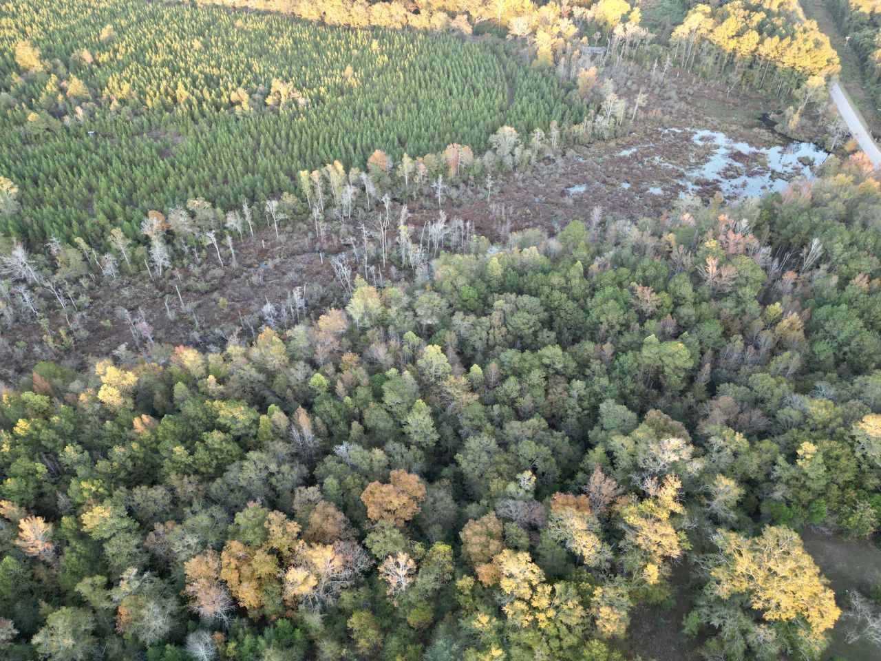 3021 Salley Road Photo 80