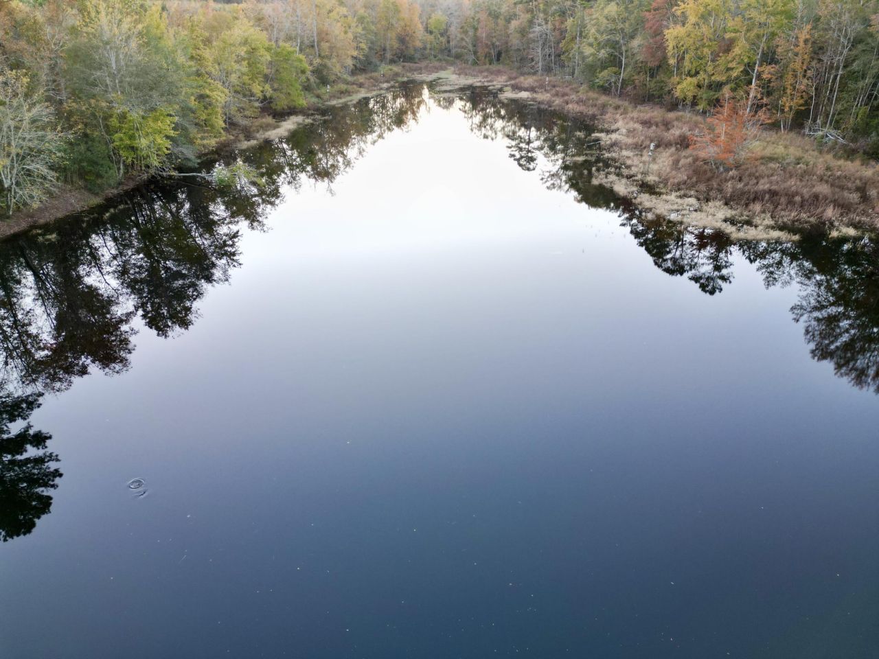 3021 Salley Road Photo 85