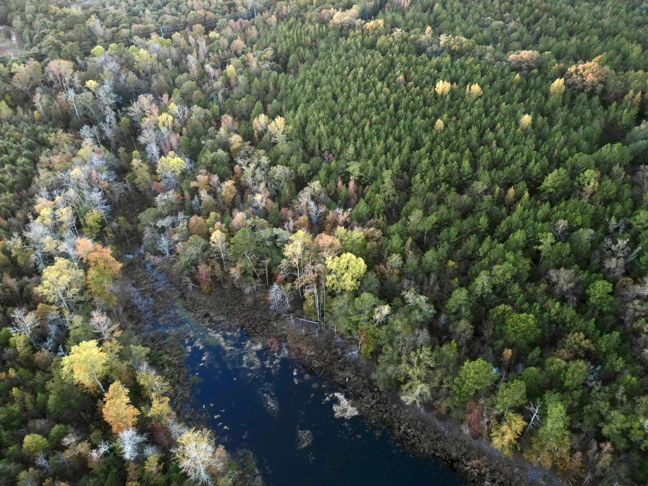 3021 Salley Road Photo 87