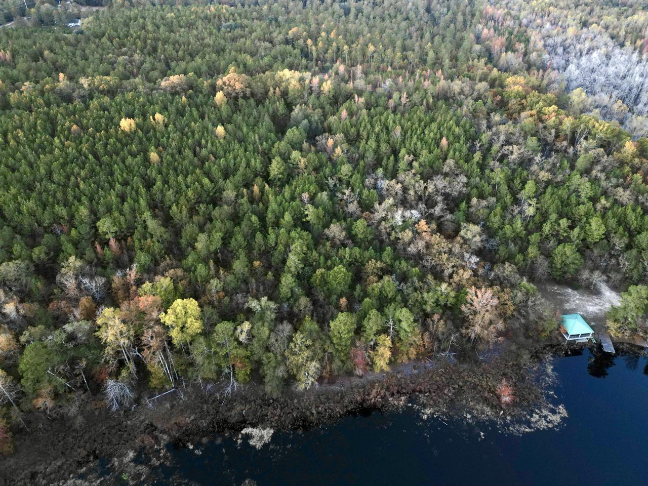 3021 Salley Road Photo 88