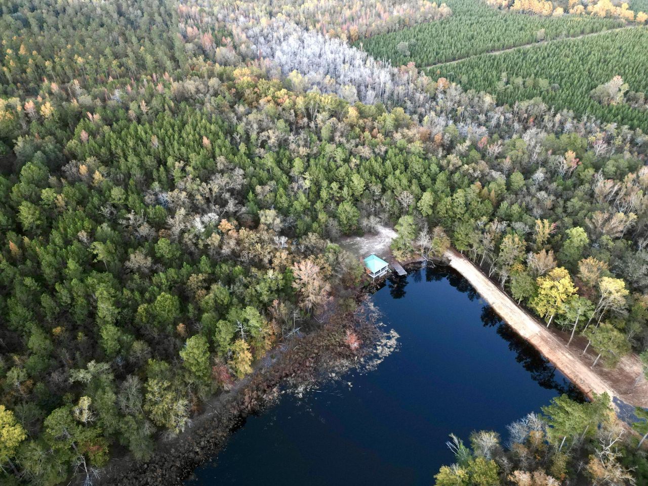 3021 Salley Road Photo 89