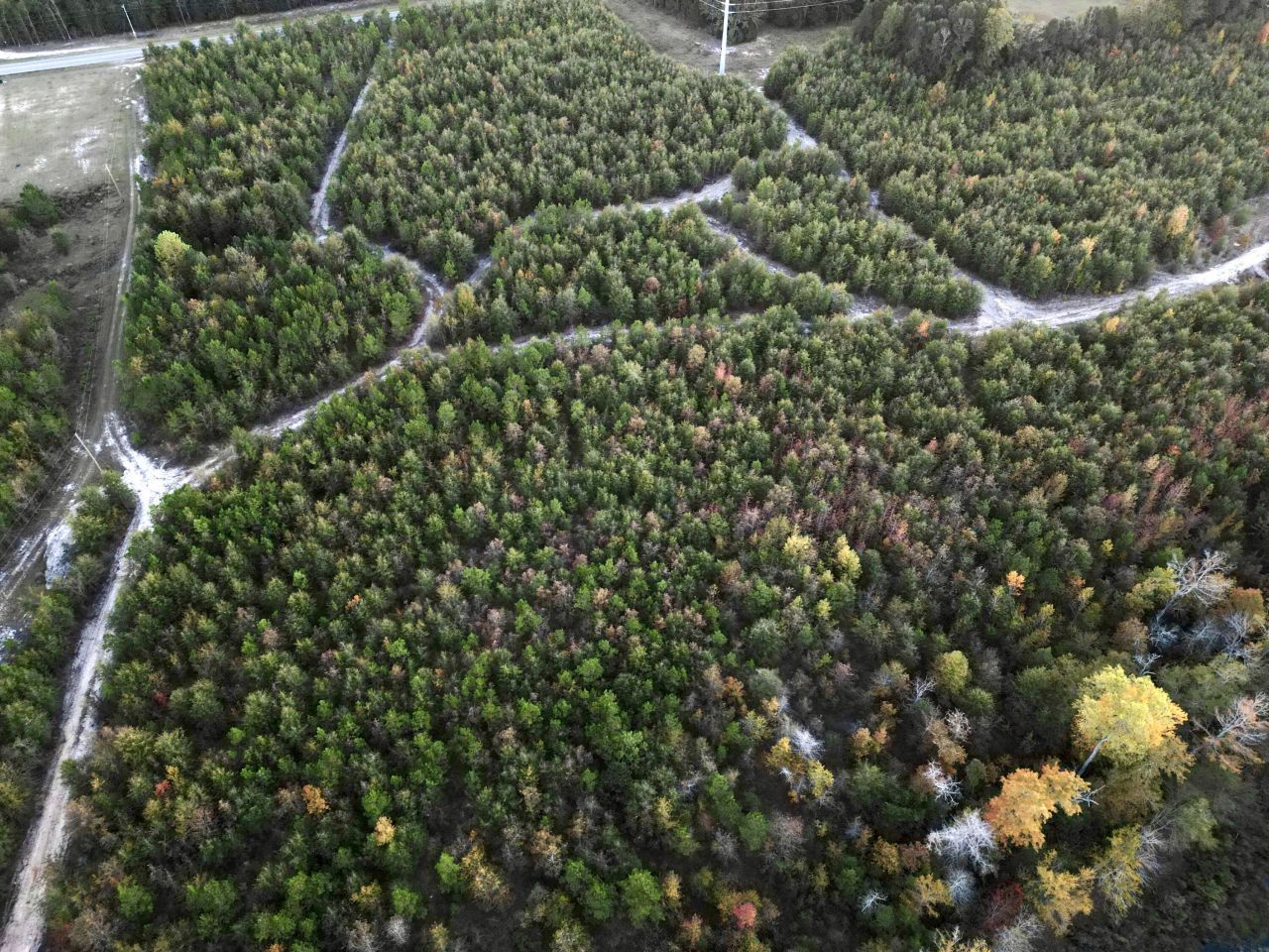 3021 Salley Road Photo 91