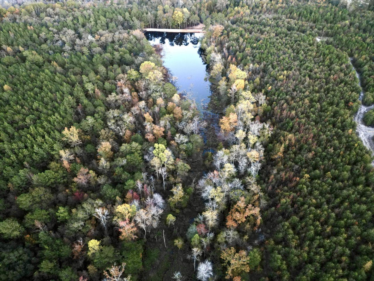 3021 Salley Road Photo 93