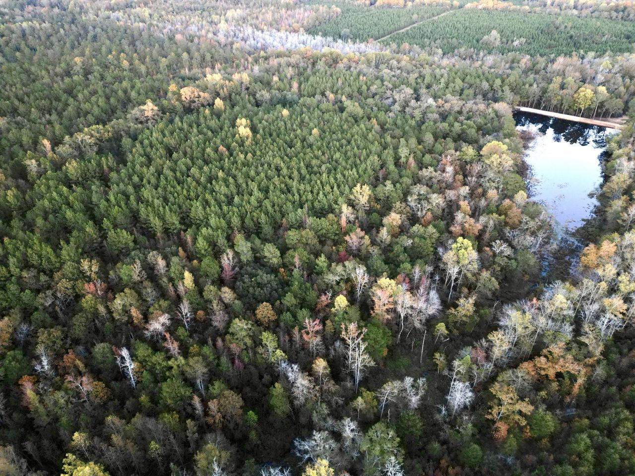 3021 Salley Road Photo 94