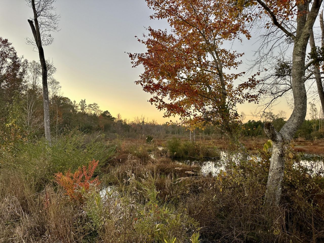 3021 Salley Road Photo 96