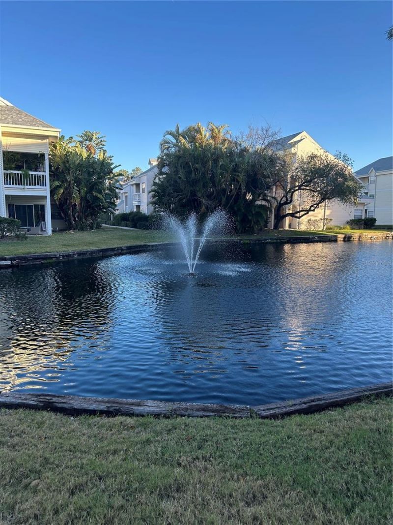 6924 Stones Throw Circle N, Unit 8306, Saint Petersburg, FL 33710 Photo