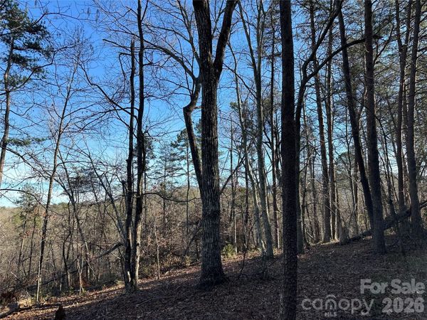 00 Hawkins Lane, Mill Spring, NC 28756