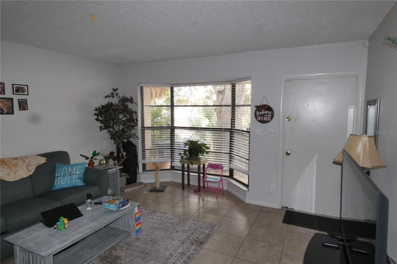 9201 7th Street N, Saint Petersburg, FL 33702 Photo
