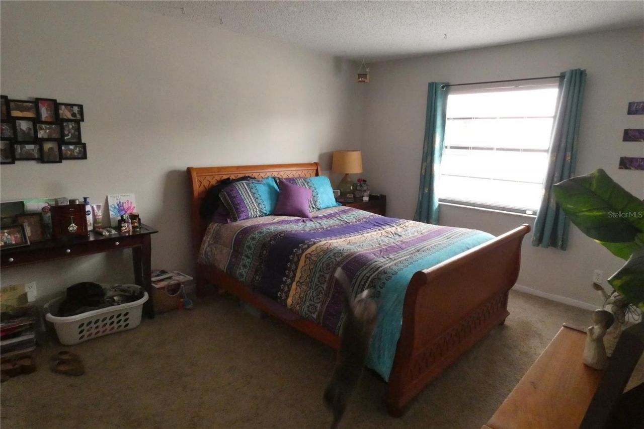 9201 7th Street N, Saint Petersburg, FL 33702 Photo