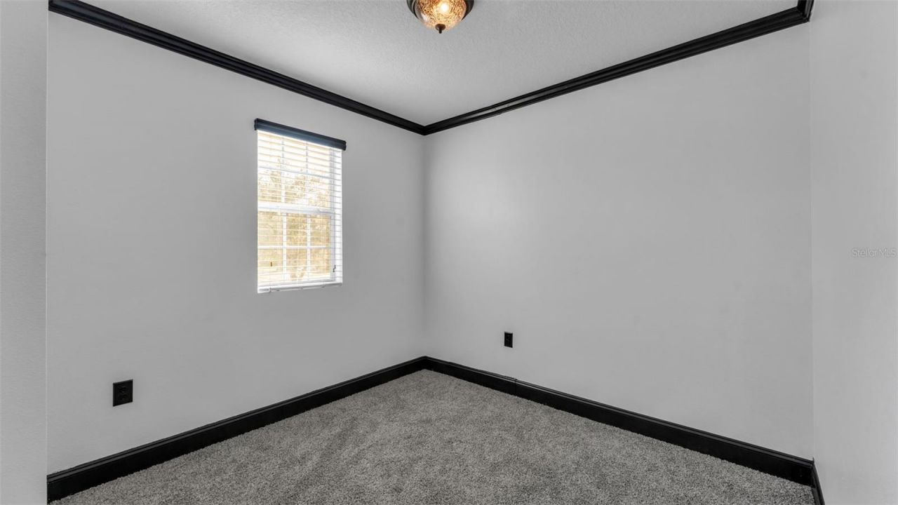 3202 Magnolia Garden Drive, Plant City, FL 33567 Photo