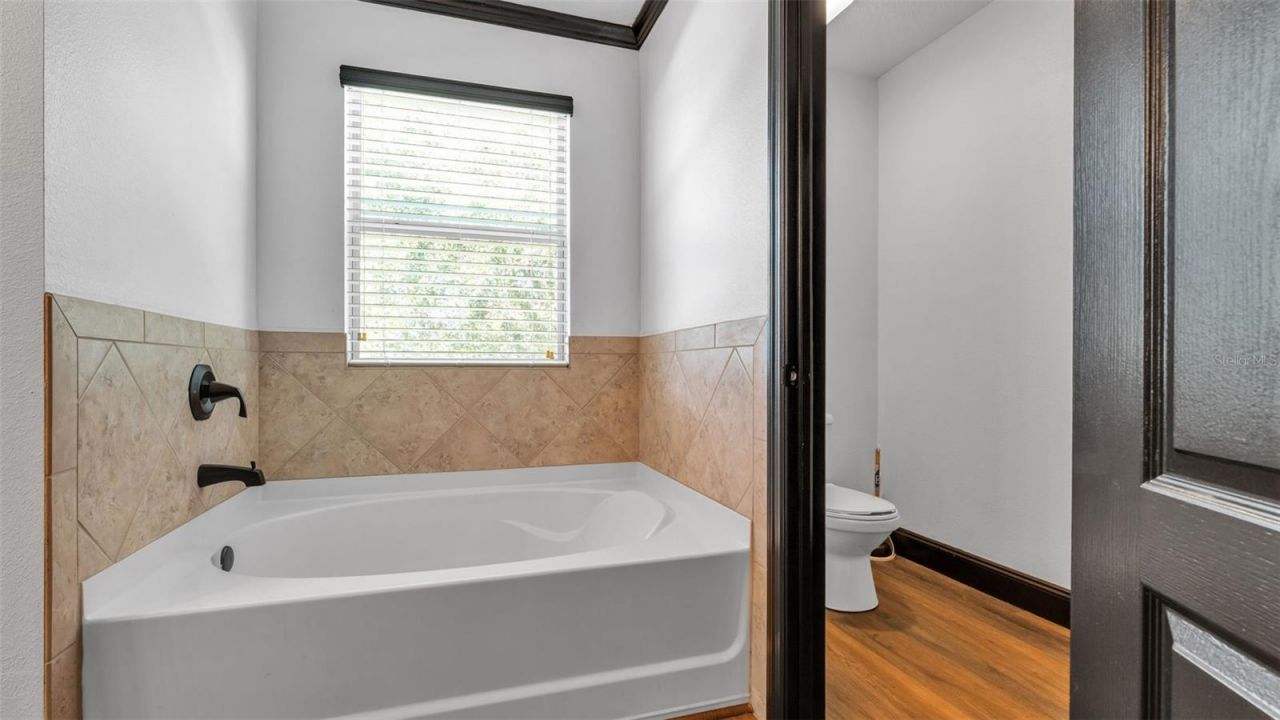 3202 Magnolia Garden Drive, Plant City, FL 33567 Photo