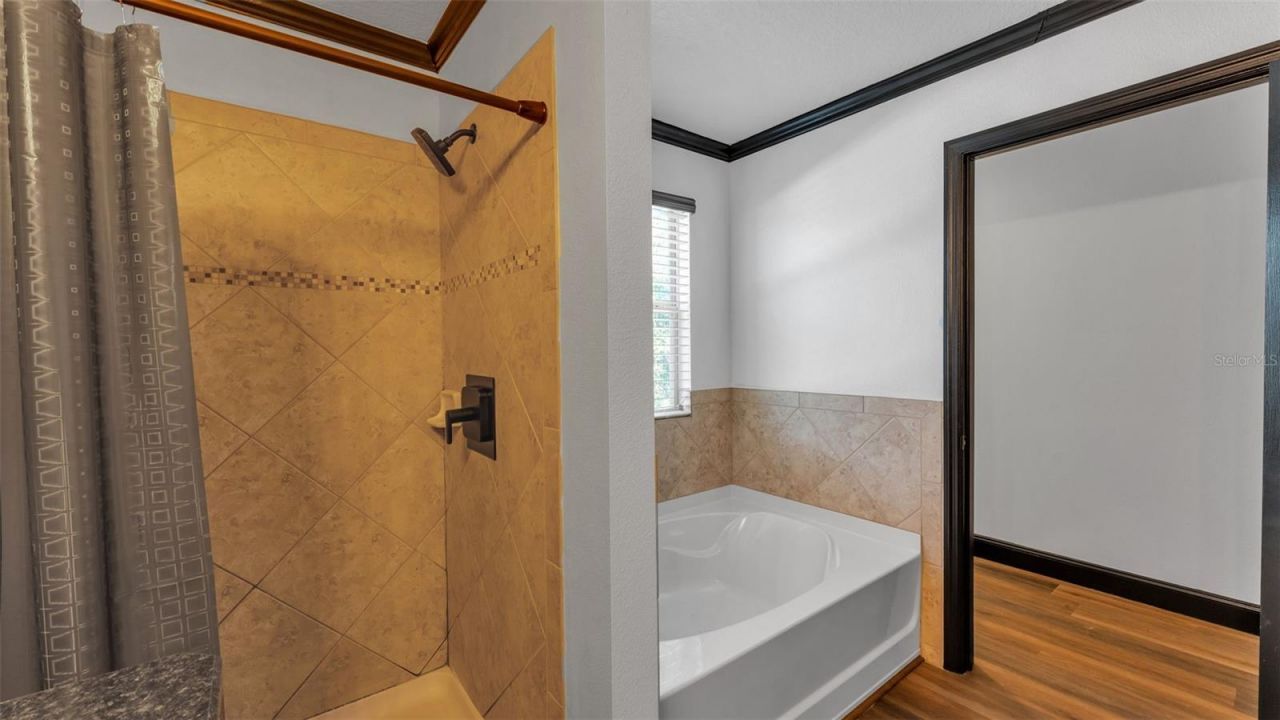 3202 Magnolia Garden Drive, Plant City, FL 33567 Photo