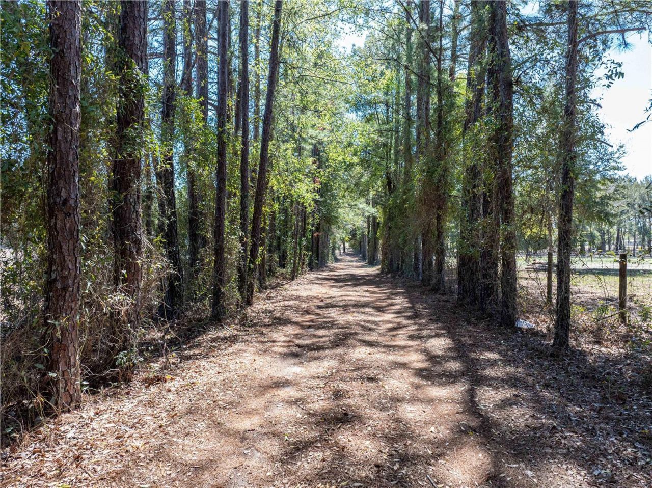 609 NW 96th Place , Branford, FL 32008 Photo