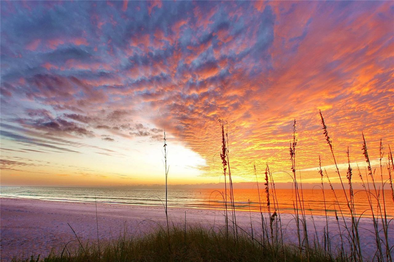 5790 Midnight Pass Road, Unit 208, Sarasota, FL 34242 Photo