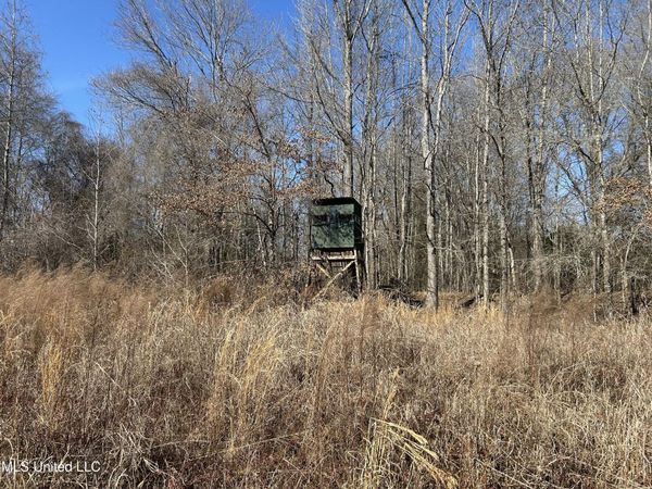 1296 Scotland Road, Bentonia, MS 39040