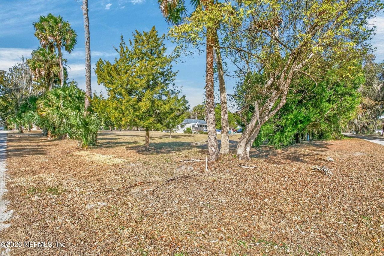 808 Front Street, Welaka, FL 32193 Photo