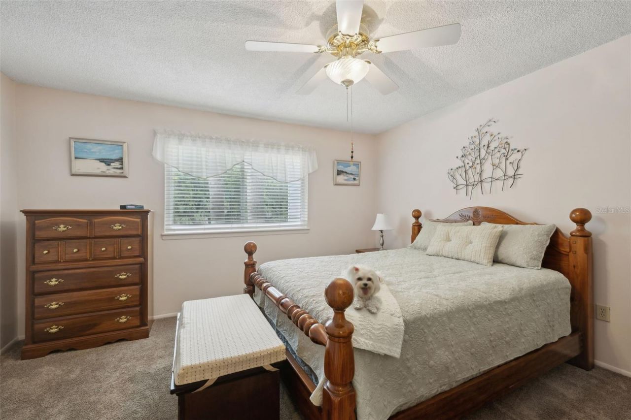 210 River Bend Place, Unit B, Welaka, FL 32193 Photo