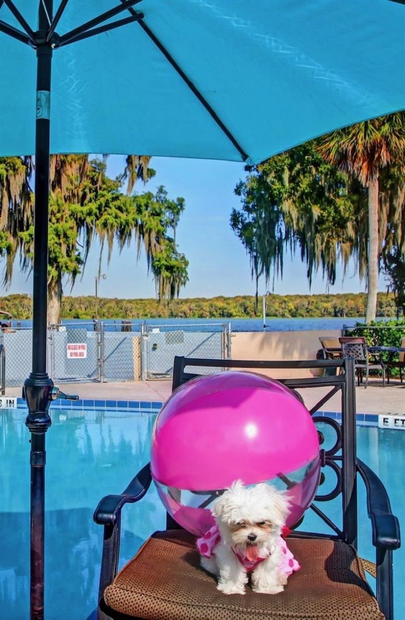 210 River Bend Place, Unit B, Welaka, FL 32193 Photo