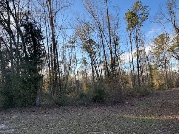 SW SR 14, Madison, FL 32340