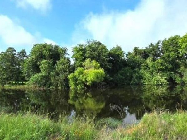 TBD George Wachel Rd. Road , Bremond, TX 76629