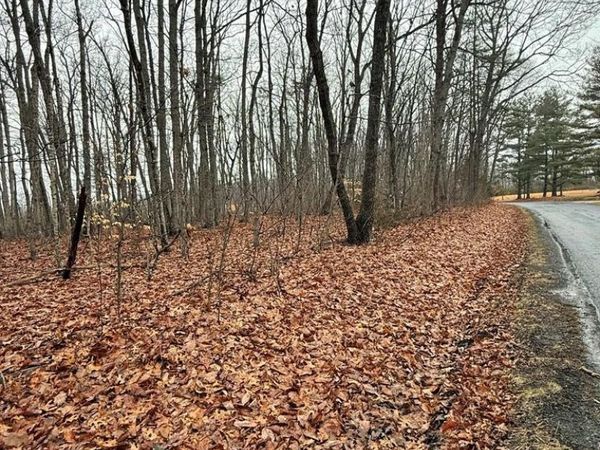 0 Forest Chapel Road , Pamplin, VA 23958