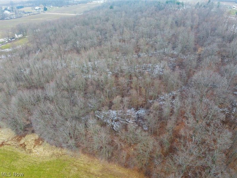 7389 Doylestown Road, Sterling, OH 44276 Photo 10