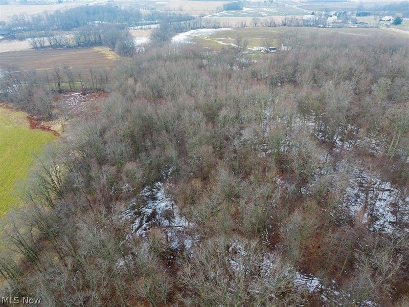 7389 Doylestown Road, Sterling, OH 44276 Photo 11