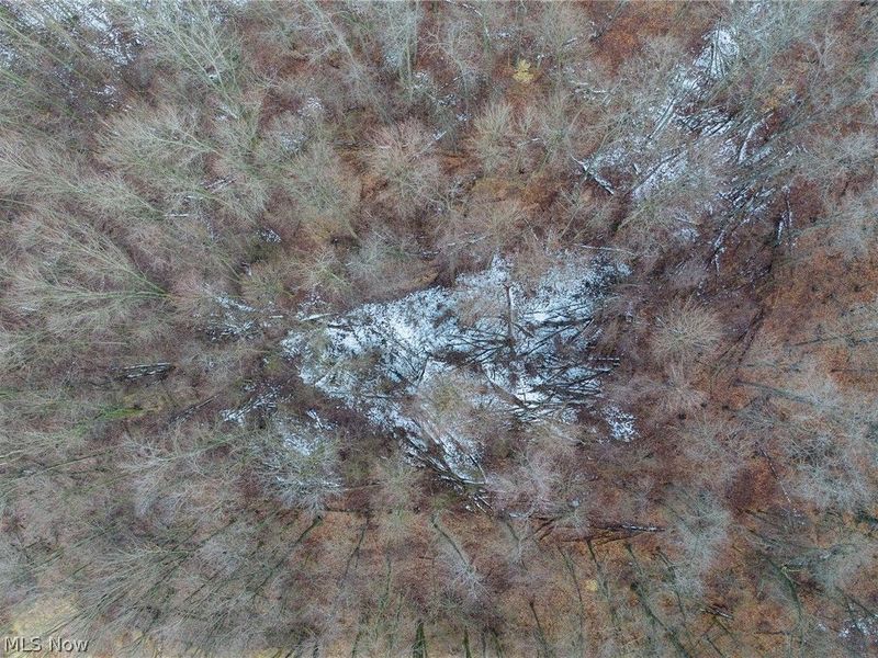 7389 Doylestown Road, Sterling, OH 44276 Photo 12