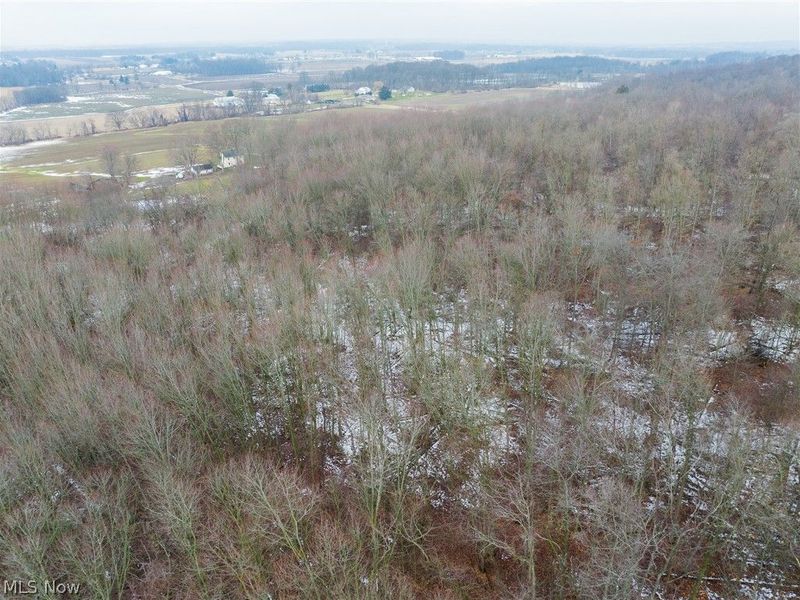 7389 Doylestown Road, Sterling, OH 44276 Photo 13