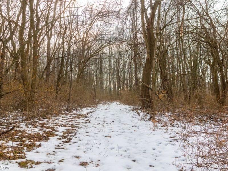 7389 Doylestown Road, Sterling, OH 44276 Photo 3