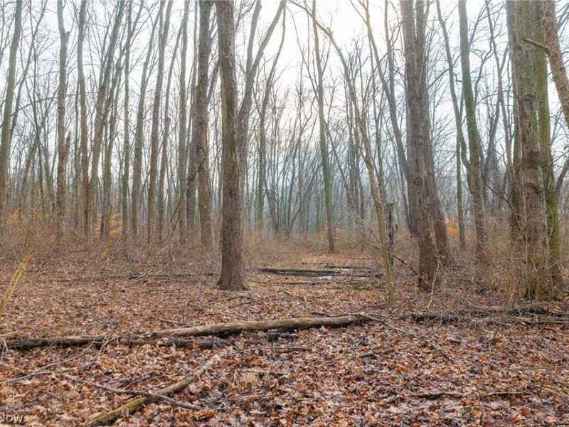 7389 Doylestown Road, Sterling, OH 44276 Photo 4