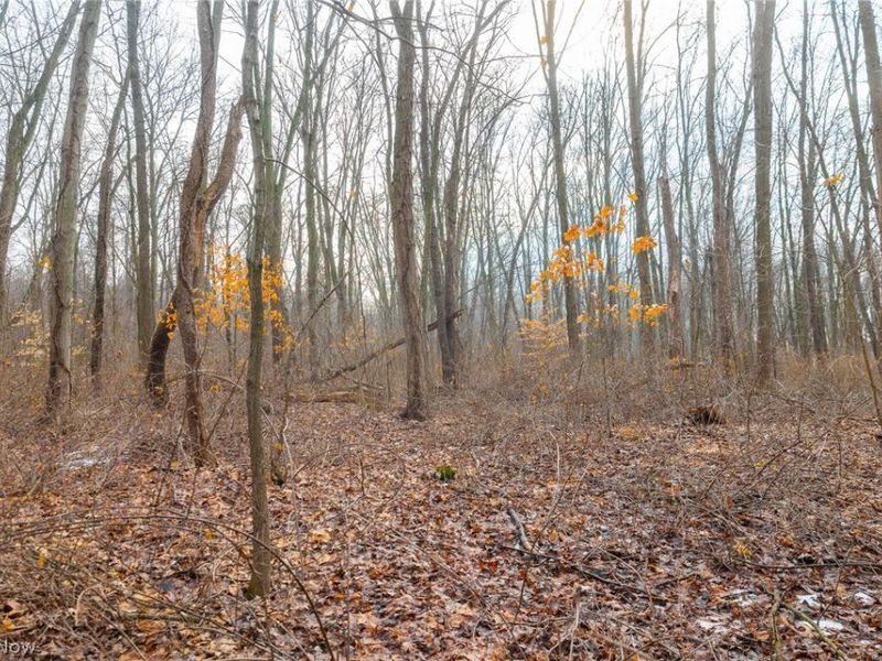 7389 Doylestown Road, Sterling, OH 44276 Photo 6