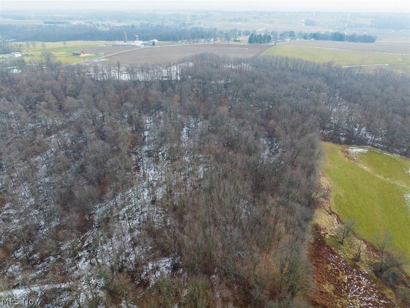 7389 Doylestown Road, Sterling, OH 44276 Photo 8