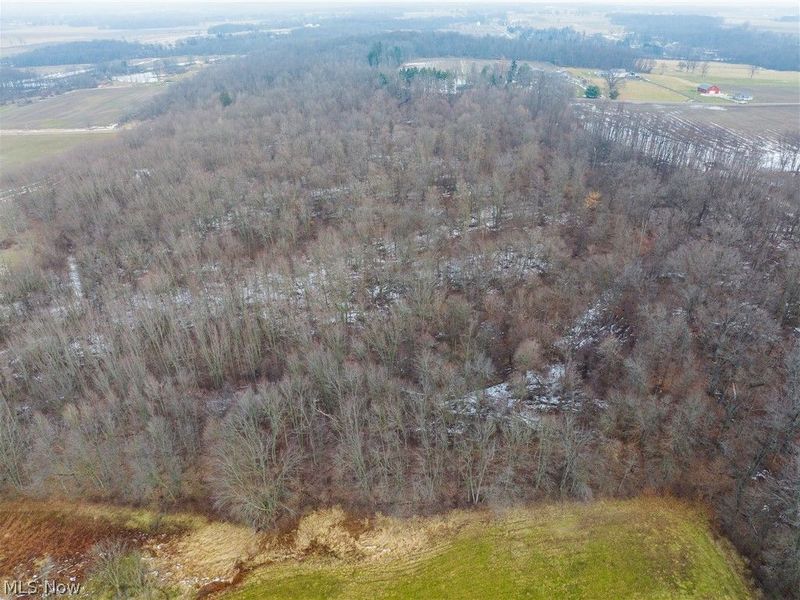 7389 Doylestown Road, Sterling, OH 44276 Photo 9