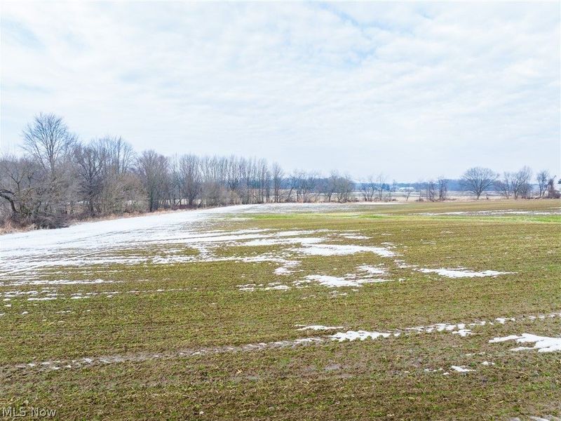 7389 Doylestown Road, Sterling, OH 44276 Photo 10