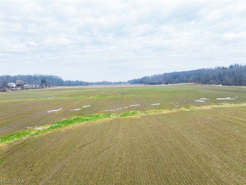 7389 Doylestown Road, Sterling, OH 44276 Photo 13