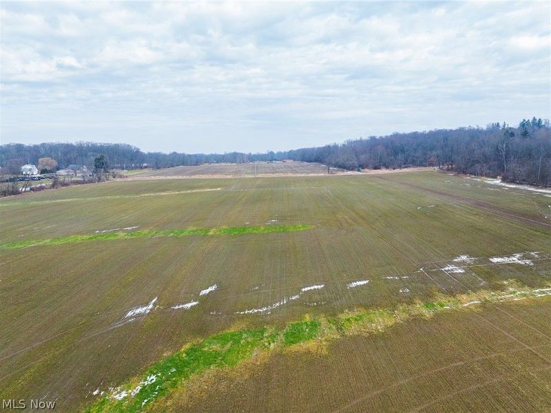 7389 Doylestown Road, Sterling, OH 44276 Photo 14