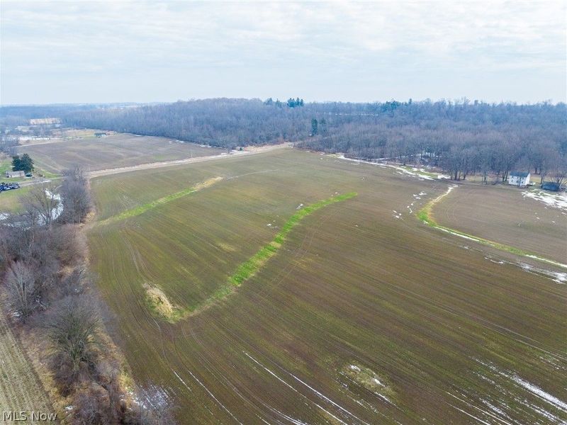 7389 Doylestown Road, Sterling, OH 44276 Photo 4