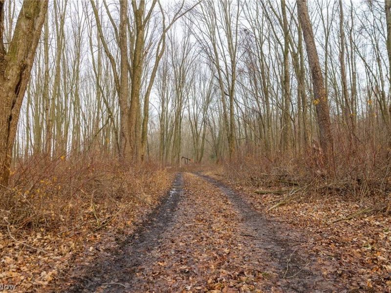 7389 Doylestown Road, Sterling, OH 44276 Photo 11