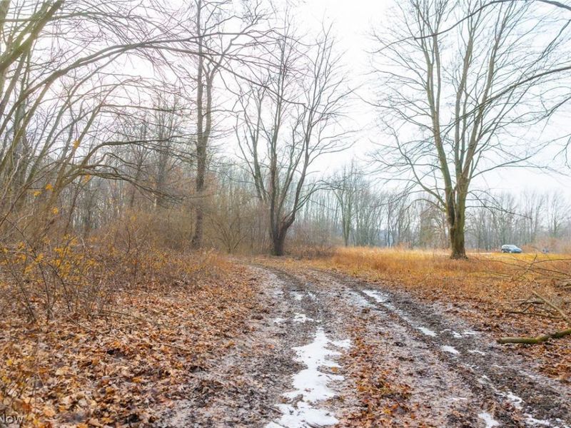 7389 Doylestown Road, Sterling, OH 44276 Photo 12