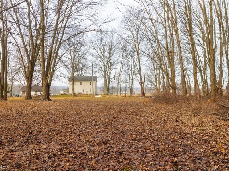 7389 Doylestown Road, Sterling, OH 44276 Photo 13